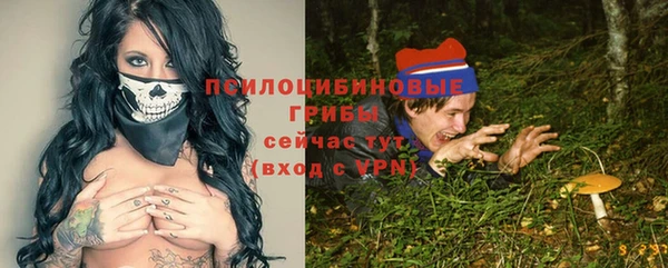 apvp Лагань