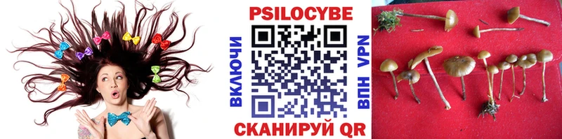 купить закладку  Нижневартовск  Псилоцибиновые грибы мухоморы 