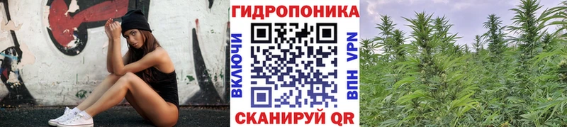 что такое   Нижневартовск  Шишки марихуана White Widow 